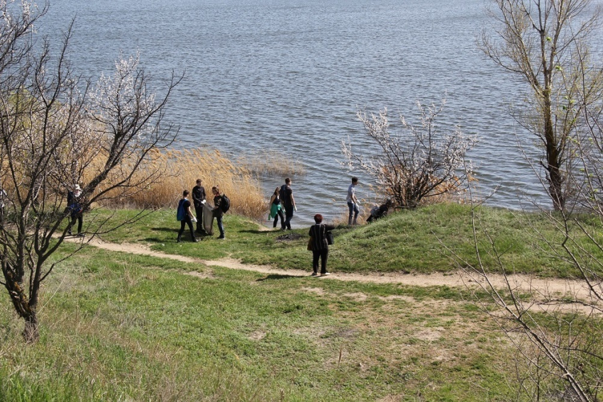Берег Сухо-Соленовского залива в Волгодонске очистили от мусора