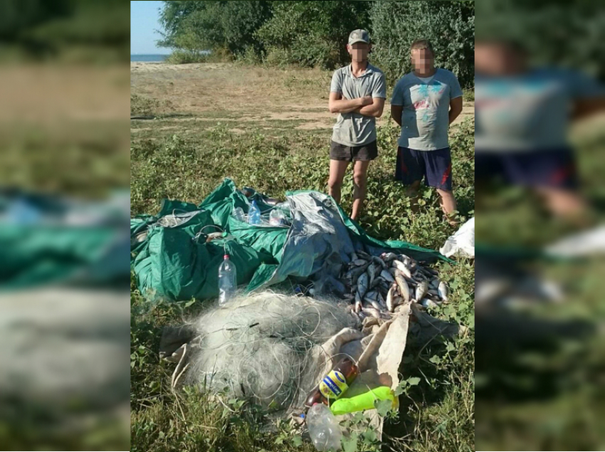 На Цимлянском водохранилище поймали молодых браконьеров с 800-метровыми сетями