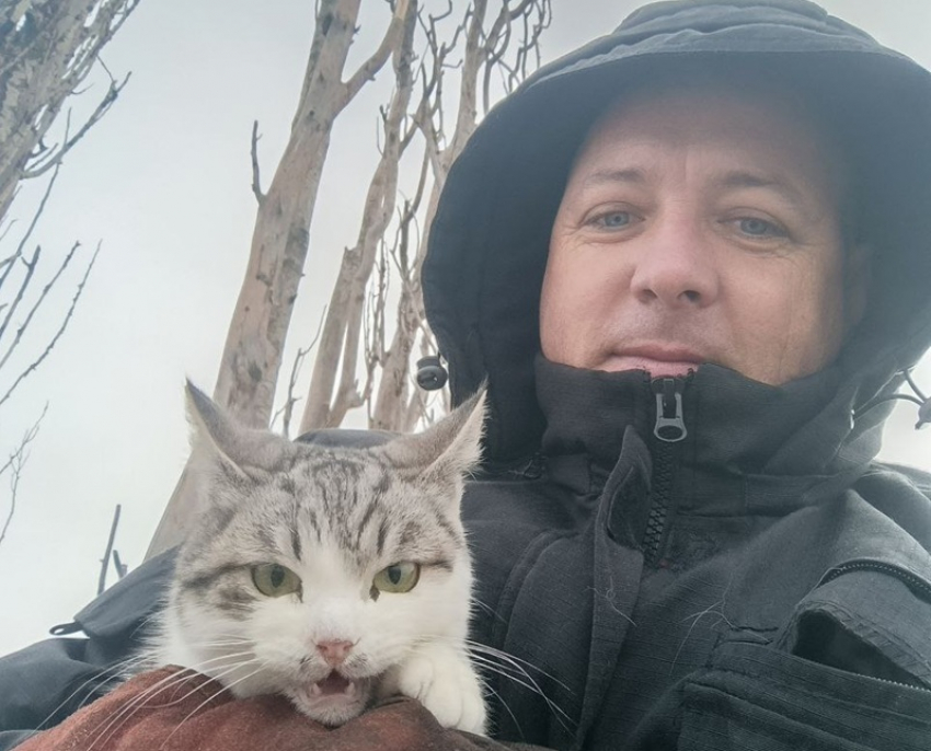 Для спасения кошки с 30-метровой высоты в хуторе Рябичев волонтеры провели спецоперацию с использованием автовышки