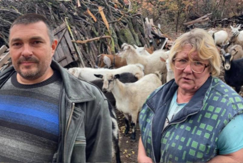 Козы раздора: хозяйка стада и председатель гаражного кооператива не могут поделить лесополосу