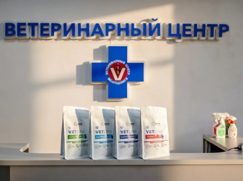 Когда питание - залог успешного лечения: как помочь питомцу при хронических заболеваниях