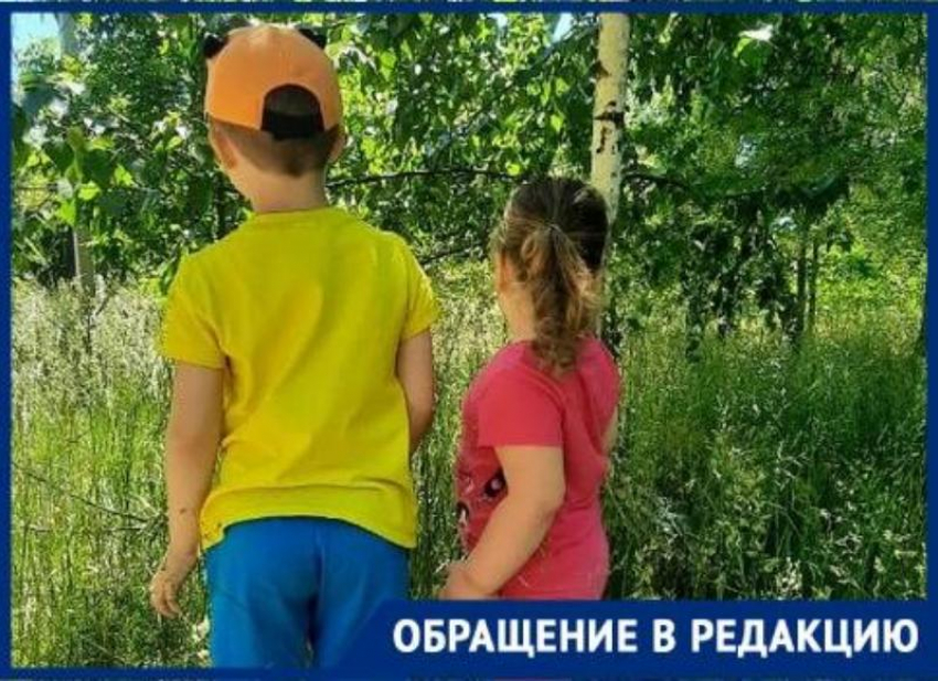 «Детей можно потерять в траве»: заросли травы рядом с администрацией показала волгодончанка 