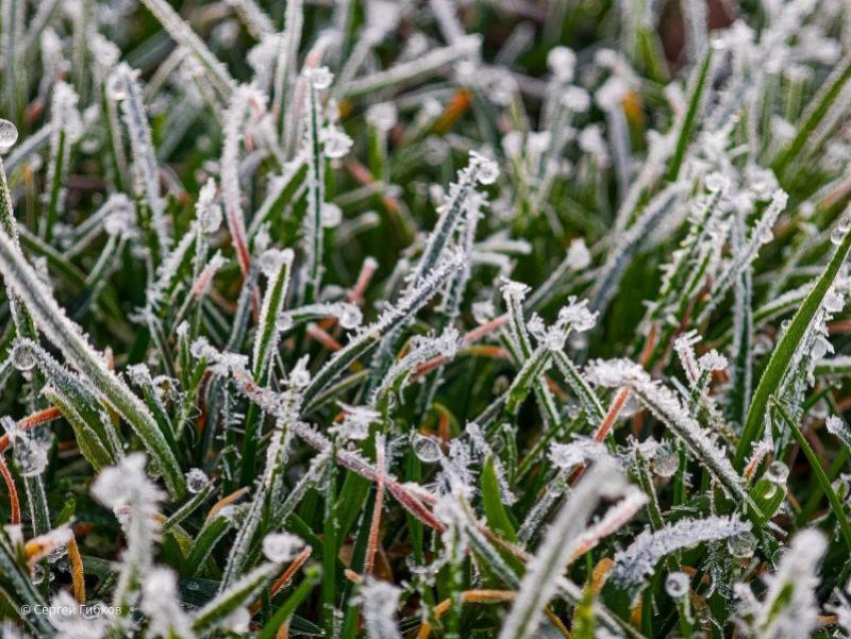 Возможны заморозки: волгодонцев предупредили о возможном ухудшении погоды