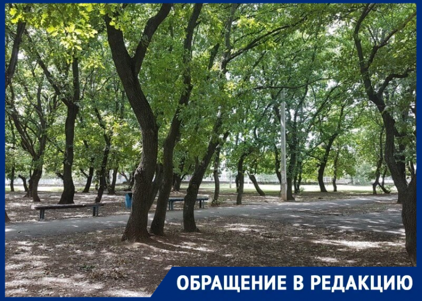 Компания дебоширов поселилась в Дубравушке