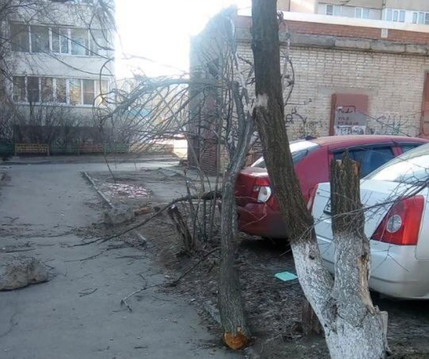 Дерево упало на припаркованные машины на проспекте Строителей 