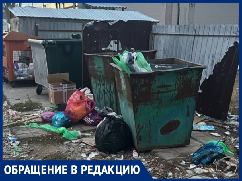 «Осталось только захрюкать!»: горожанка возмущена свалкой, которую устроили соседи 