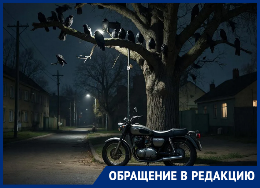 Мотоциклы и вороны превратили в ад жизнь волгодонцев