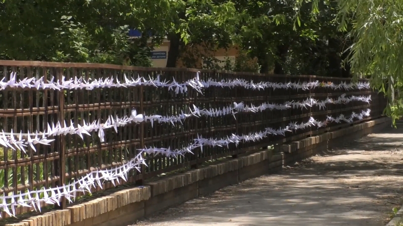 Забор ковидного госпиталя украсили тысячей бумажных журавлей