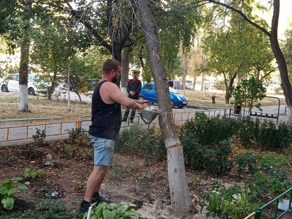 Валка деревьев.jpg