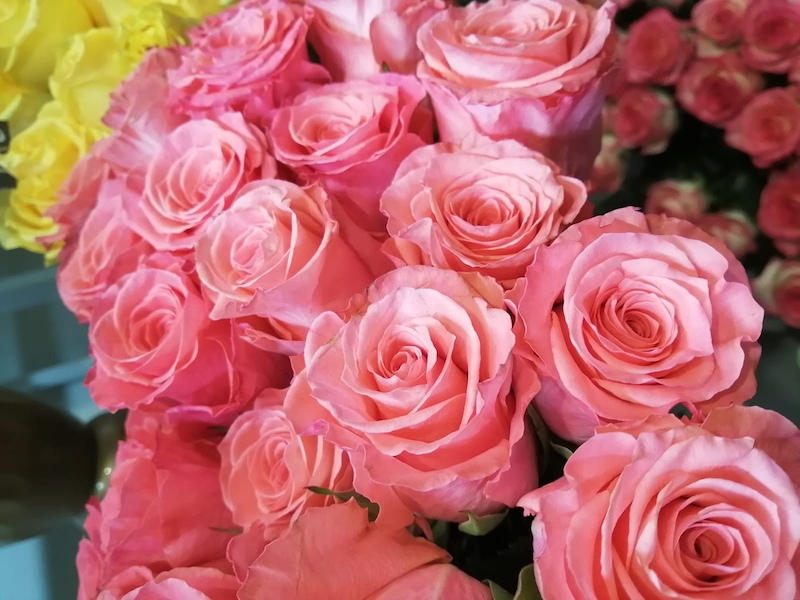 Красивые цветы в магазине «Донна Роза», Волгодонск