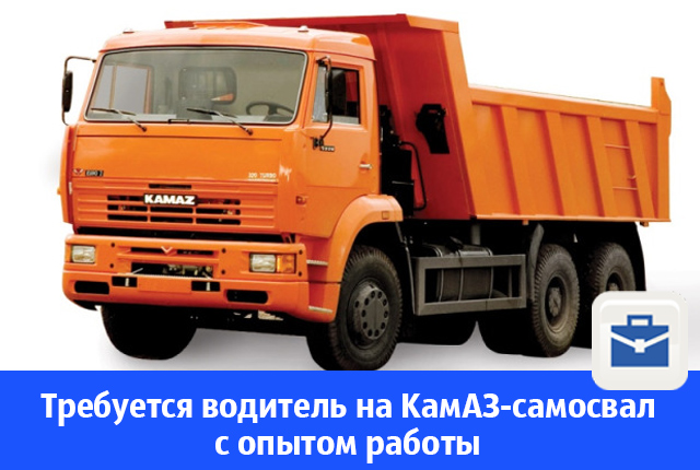 водитель-1.jpg