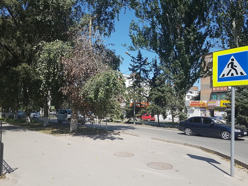 Сухая ветка