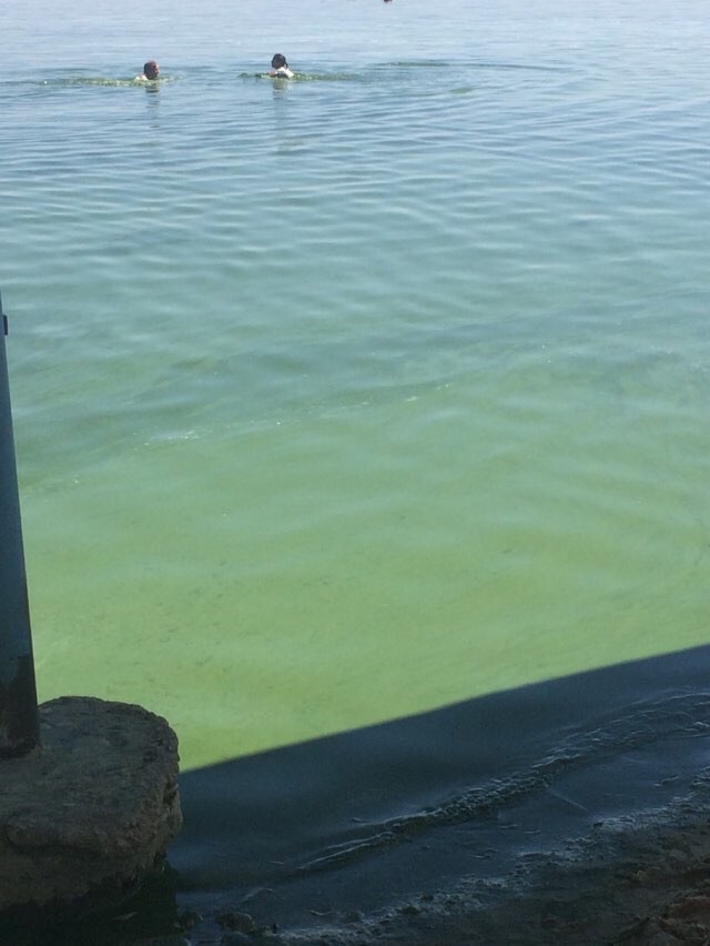 зеленая вода.jpg