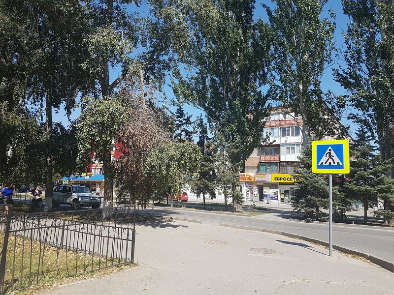Сухая ветка