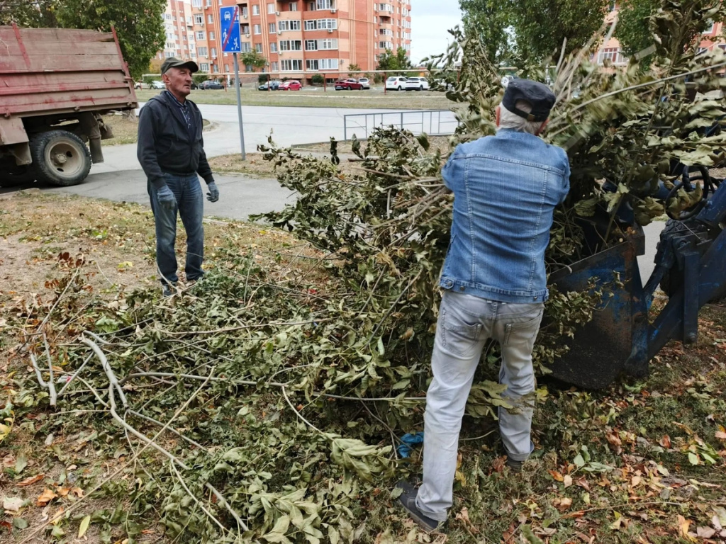 Уборка веток и мусора.jpg